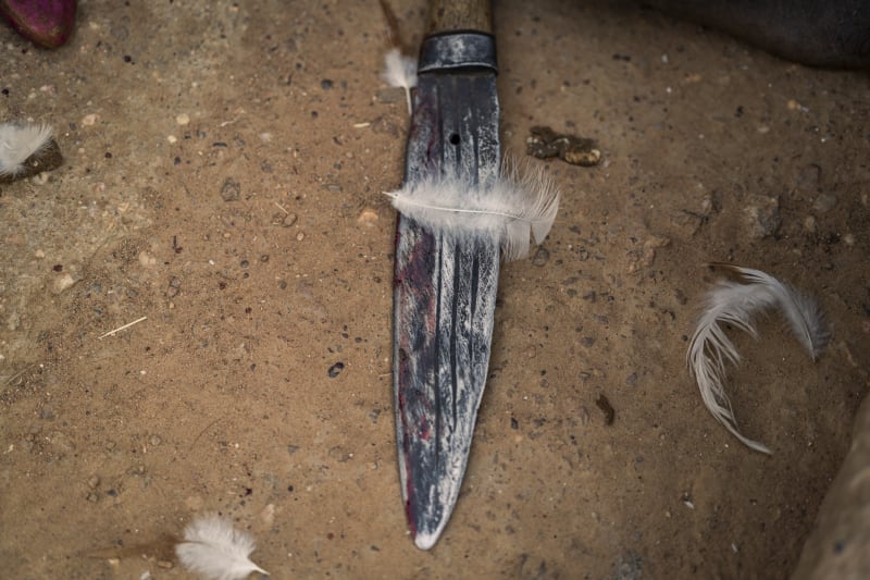 #14 Feather