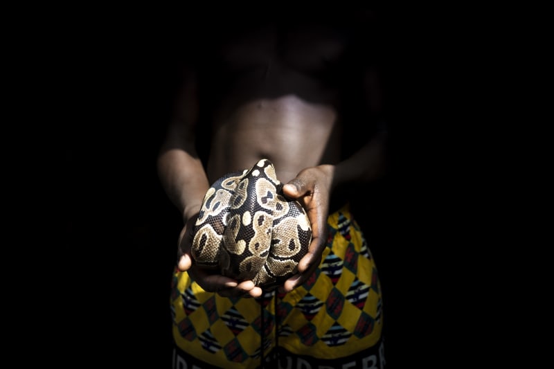 #6 Python
