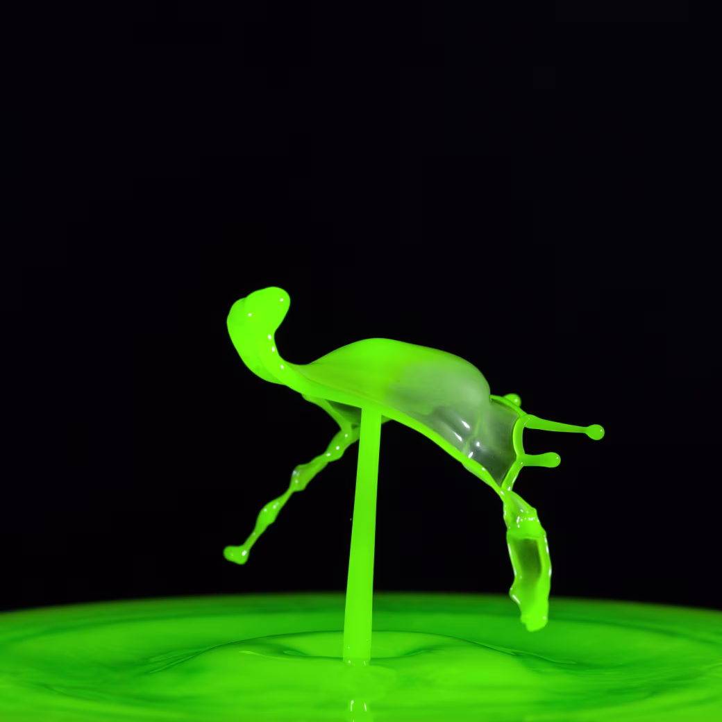 Splash of Green