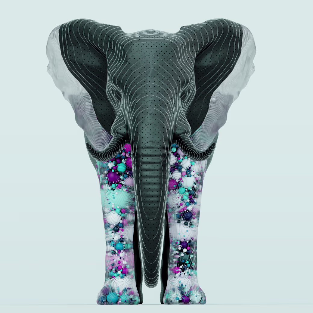 Elephant The Tiny Ear #12/37