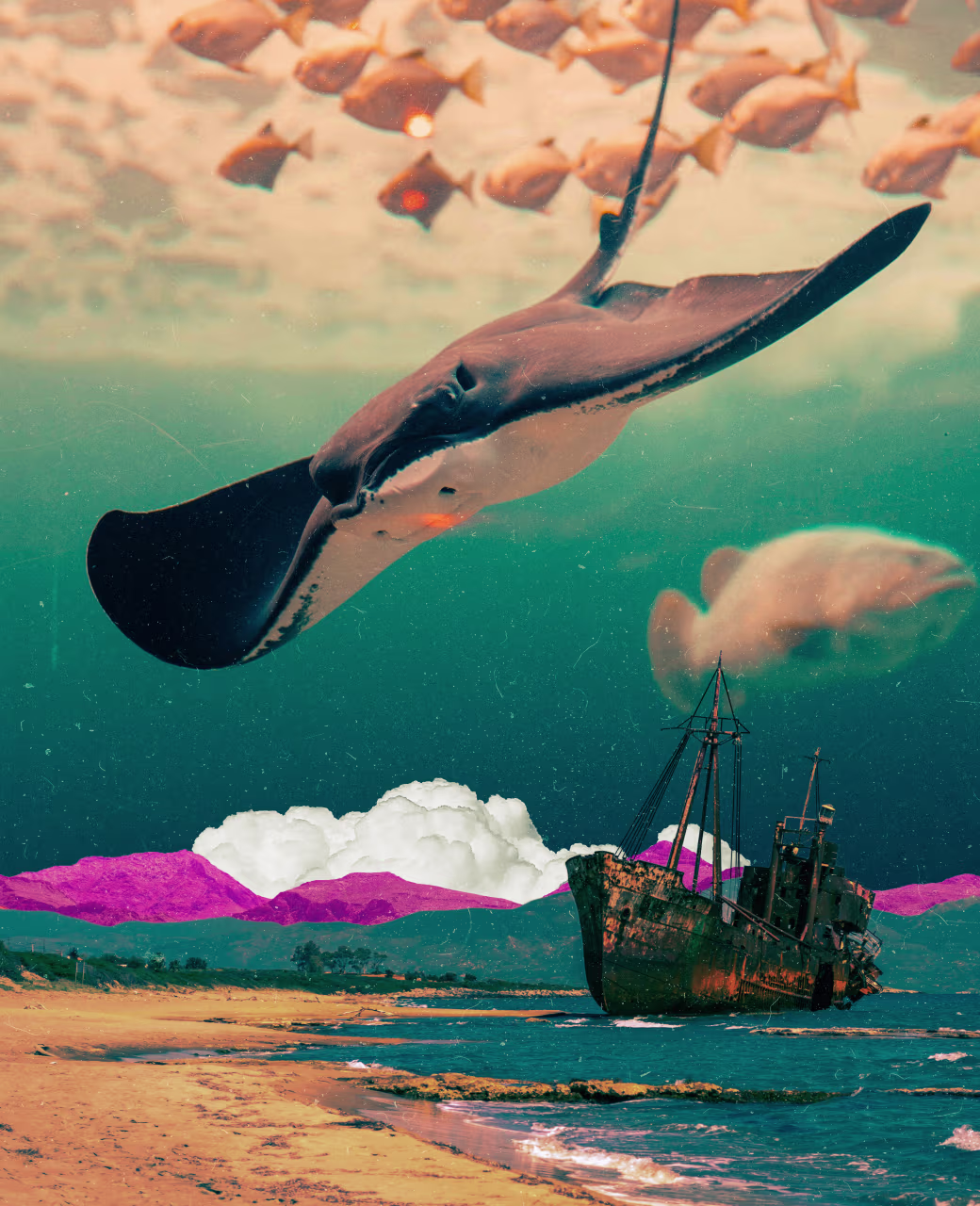 The Swell #76