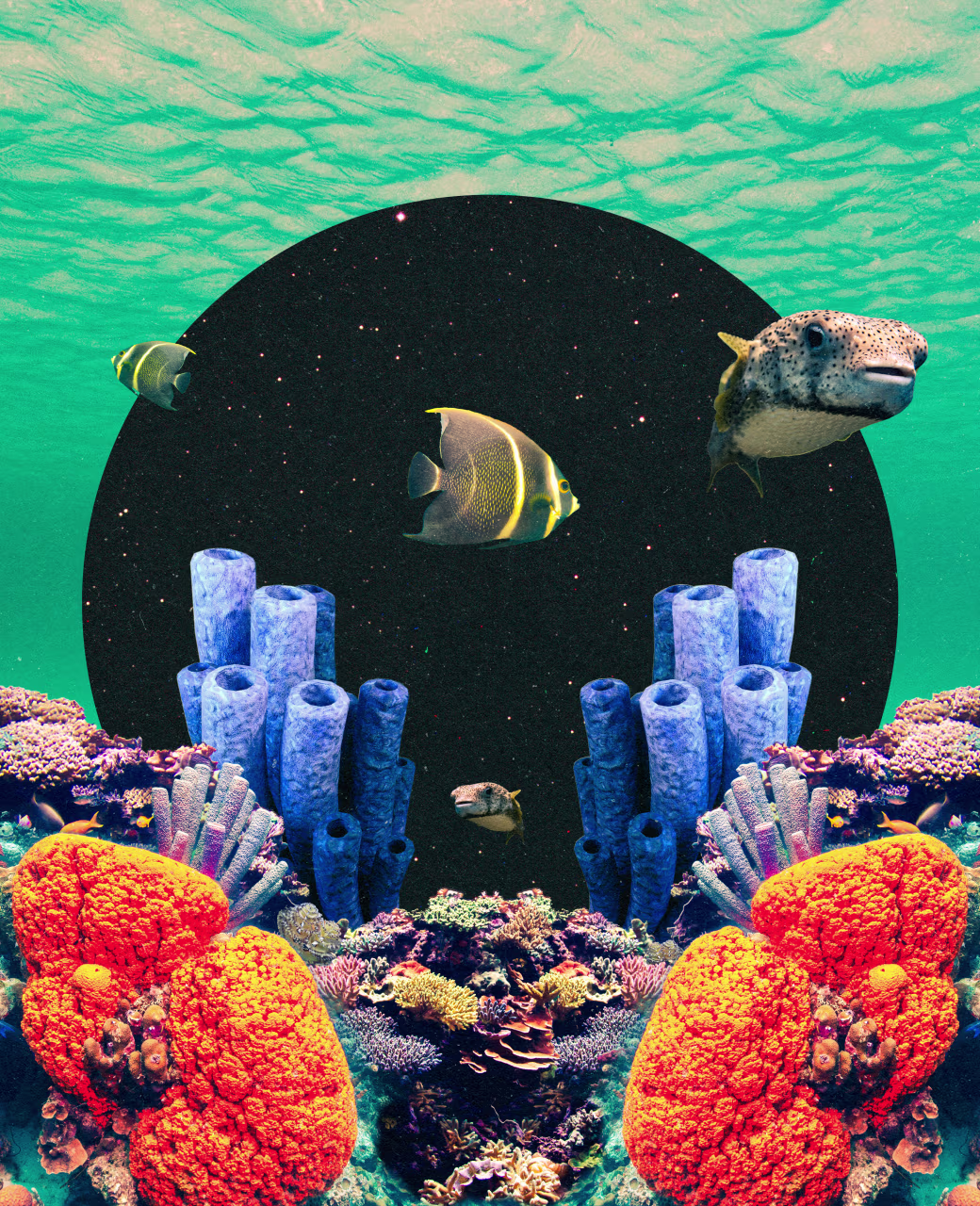 The Swell #36