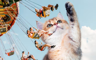The Amusement Ride