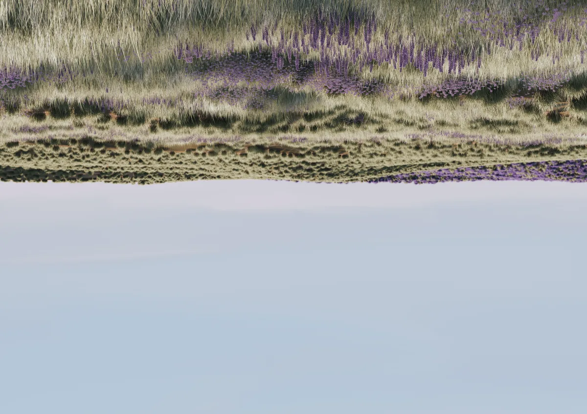 Bury (Reisinger Andrés)