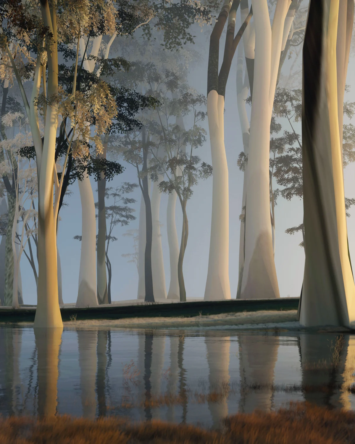 Forest at six