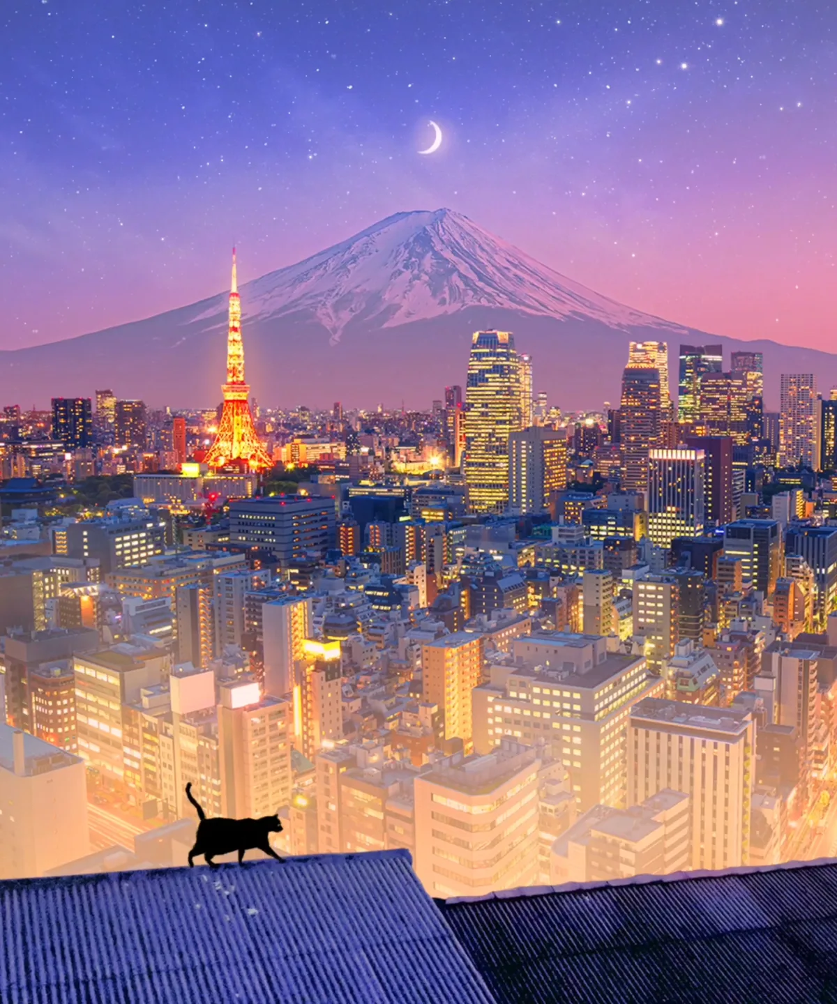 The Cat In Tokyo
