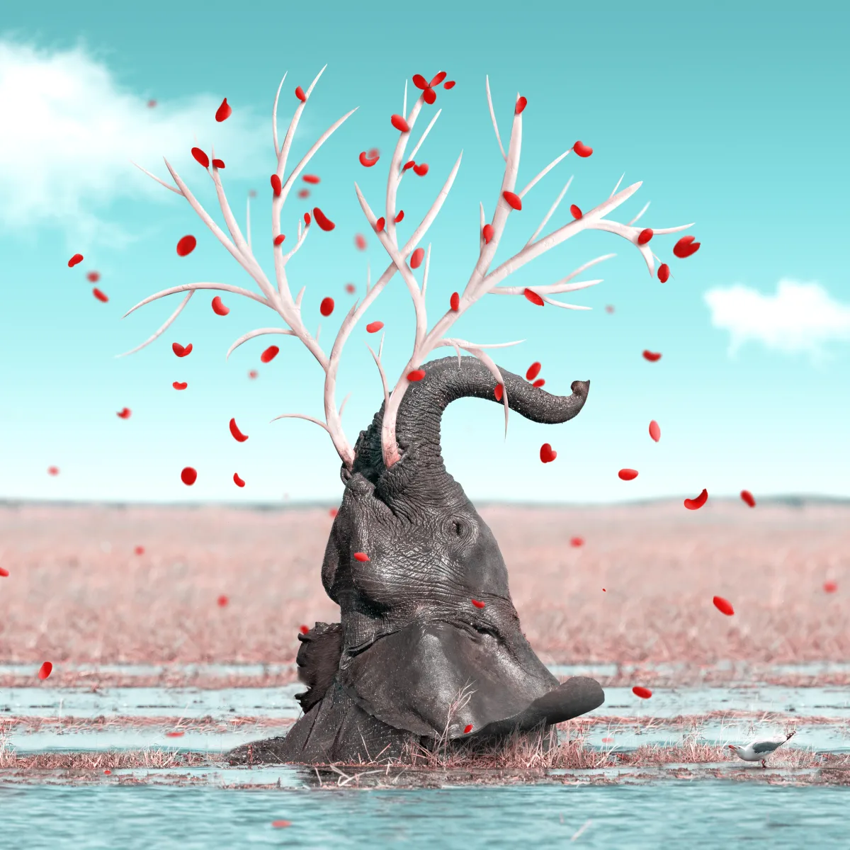 End of Cycle from Julien Tabet