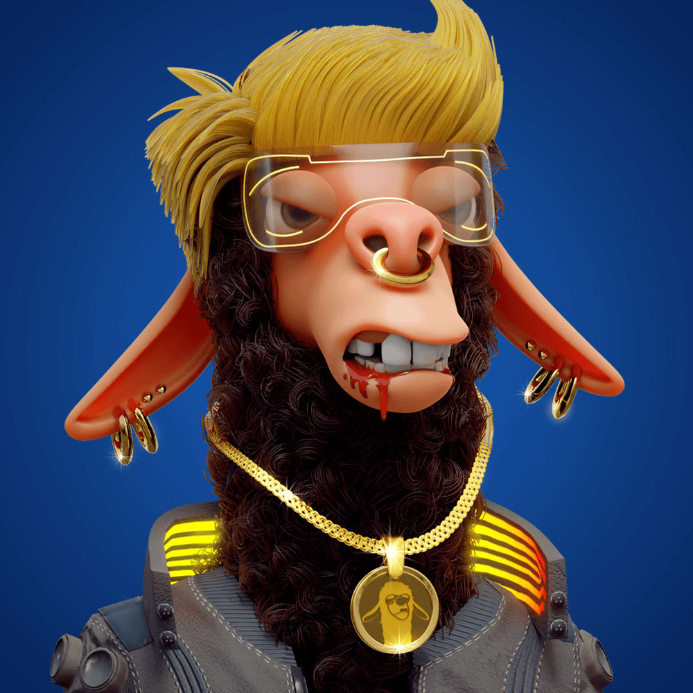 Laid Back Llamas Collection