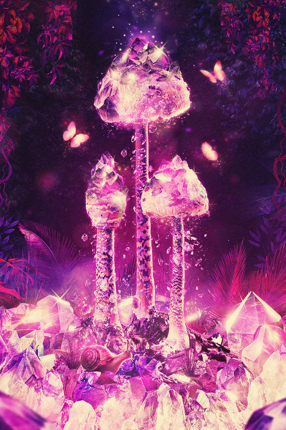 Procera by Pete Harrison