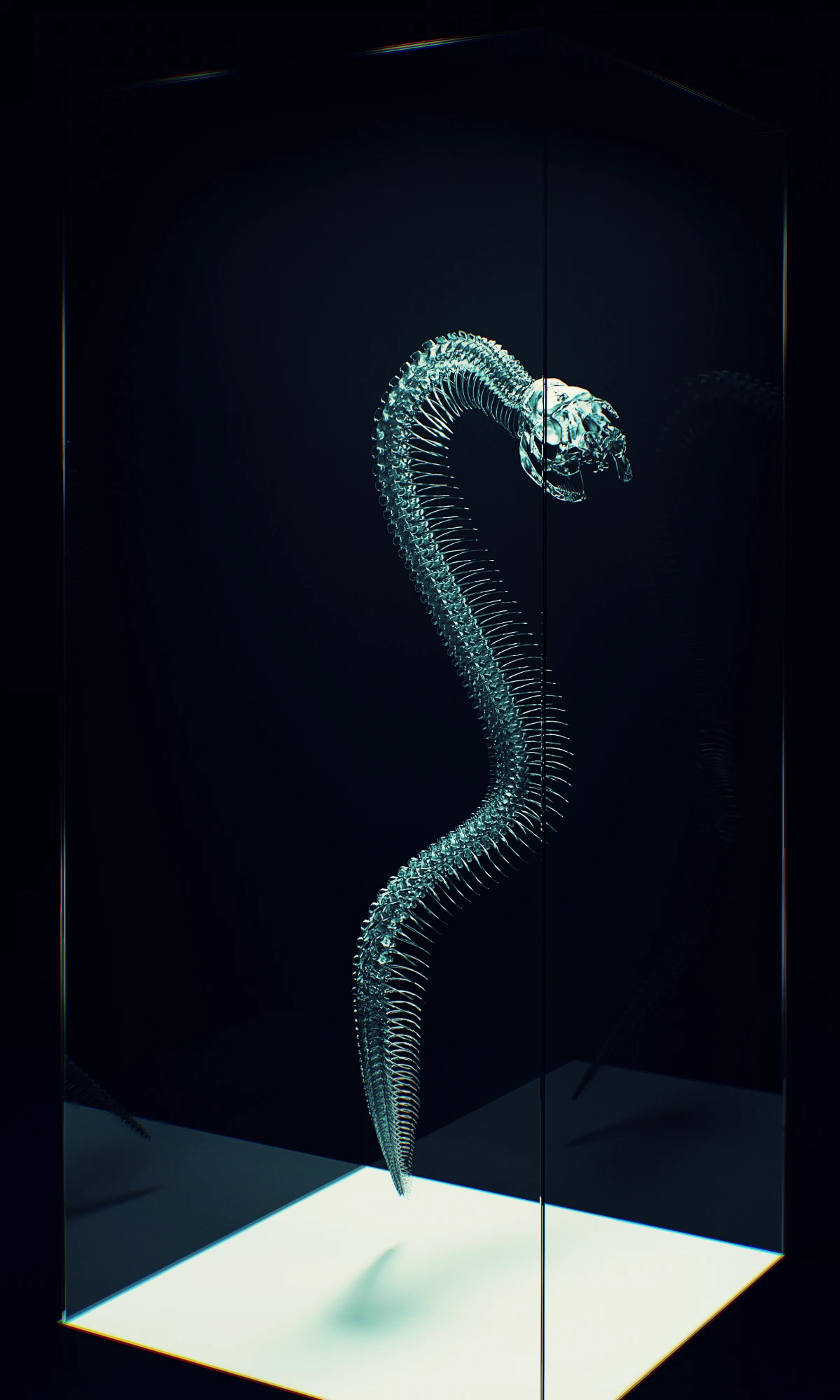 Rebirth