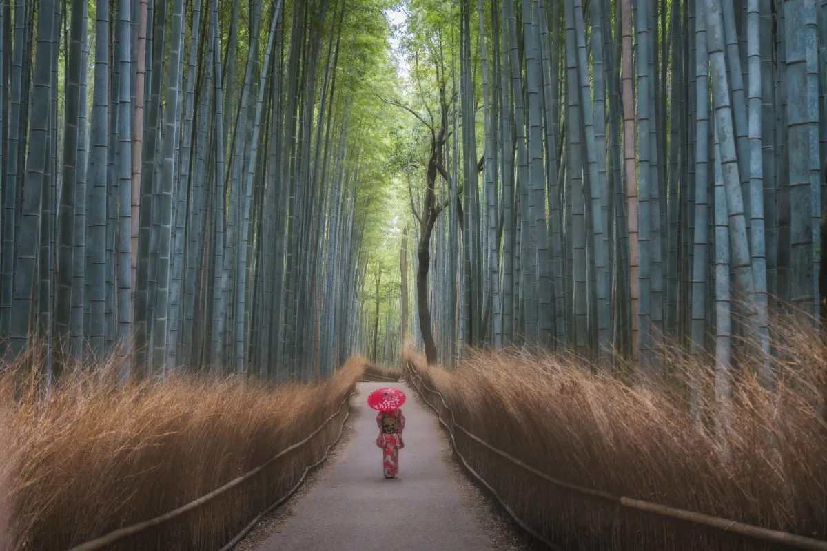 MEMORIES OF GEISHA (Iurie Belegurschi)