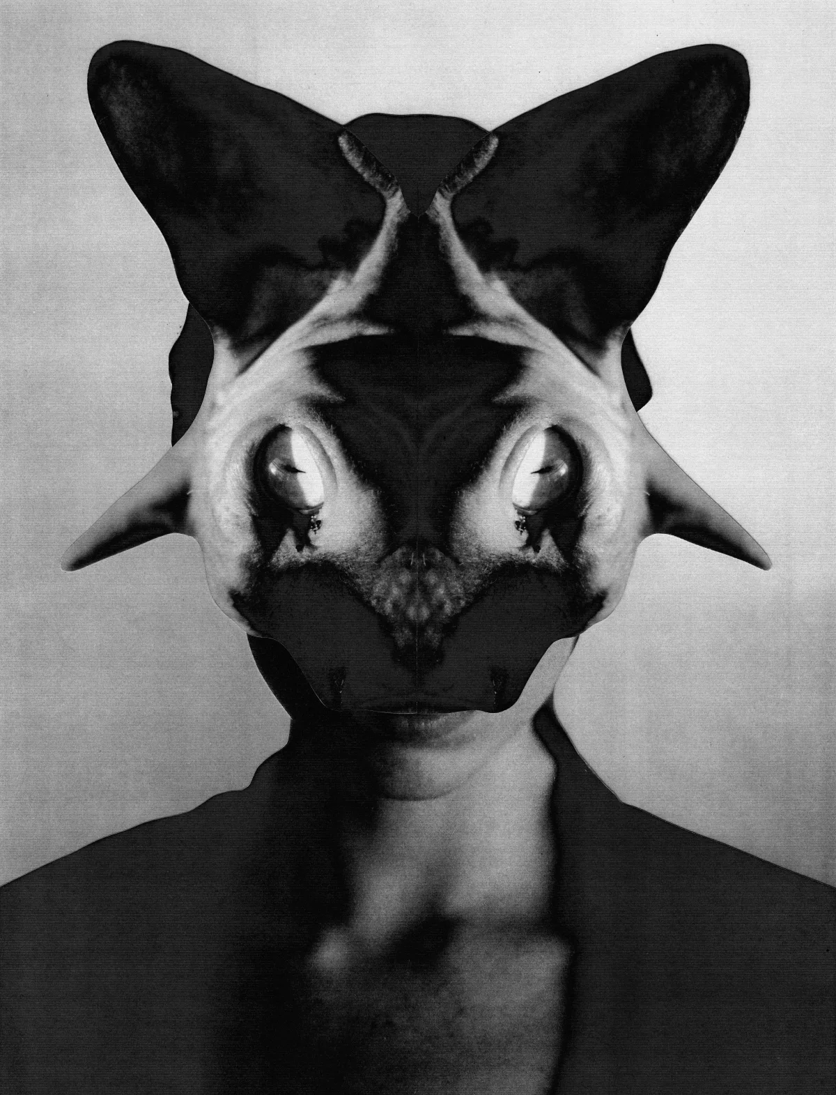 HAIRLESS CAT BAPHOMET (Jesse Draxler)