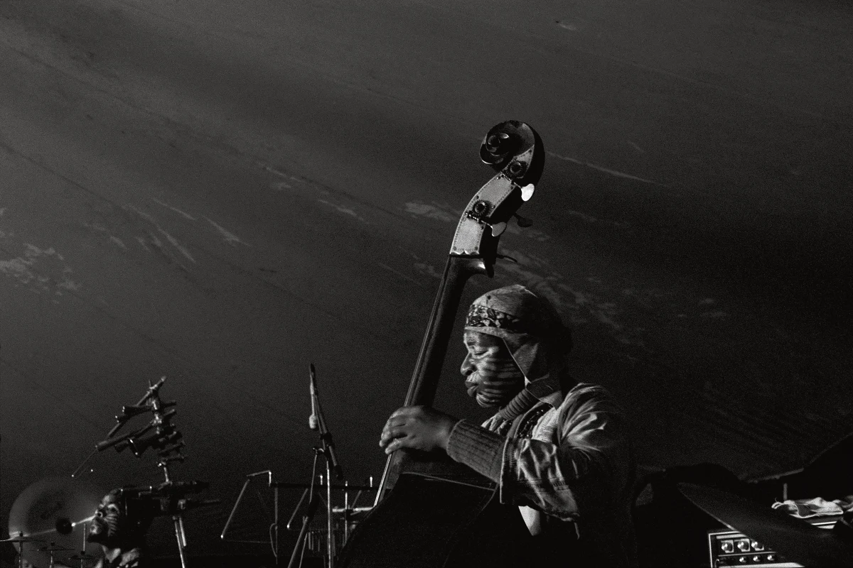 Malachi Favors - Chicago Art Ensemble