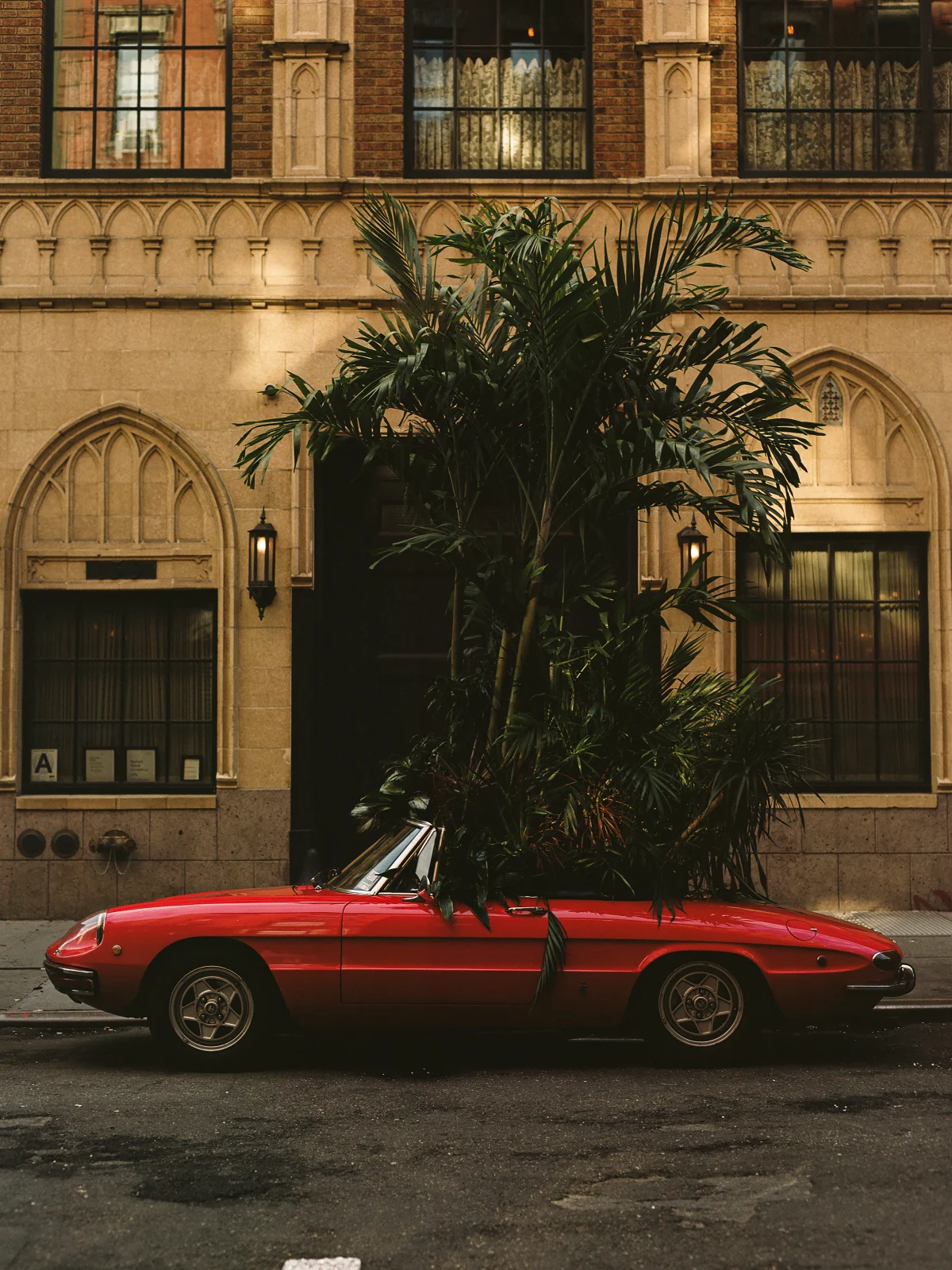 Saturday Somewhere by Plant Passenger
