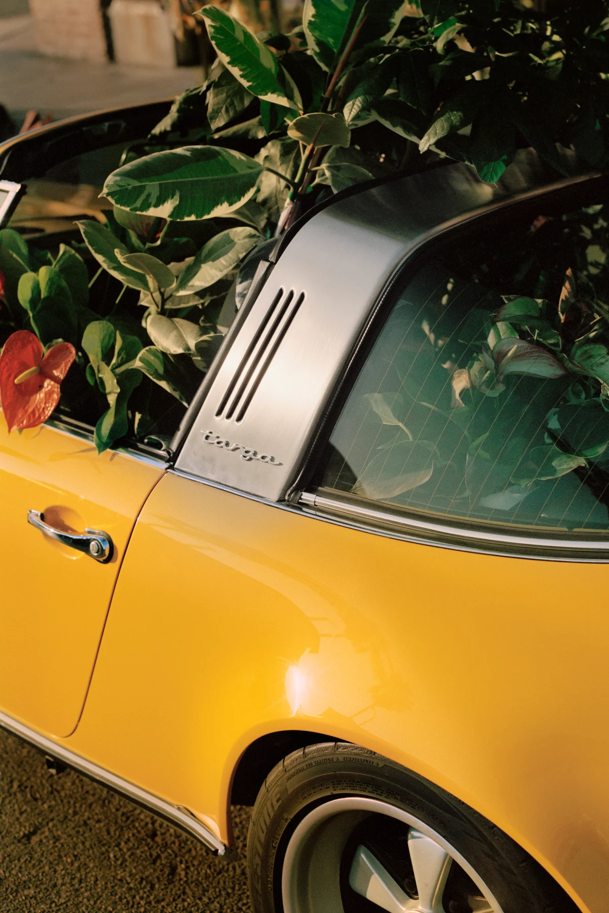A Yellow Potter by Plant Passenger