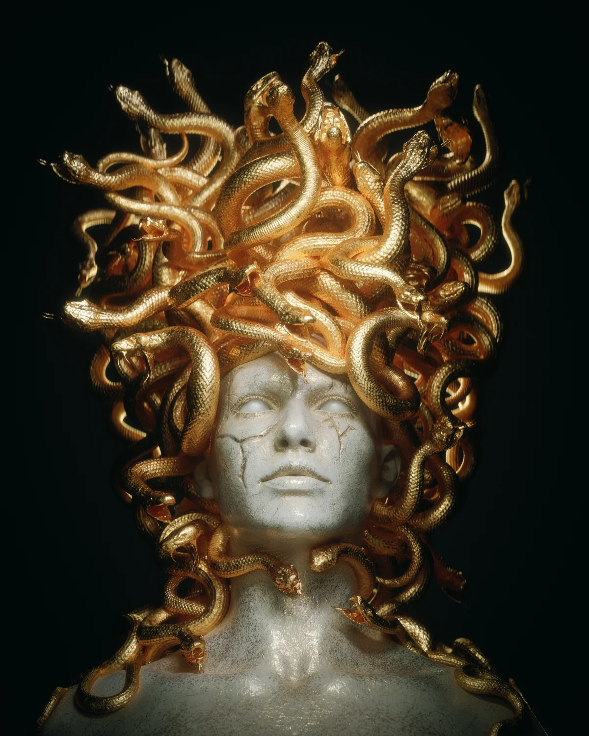 Medusa