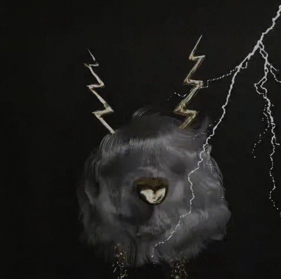 Multibeasts By The Haas Brothers