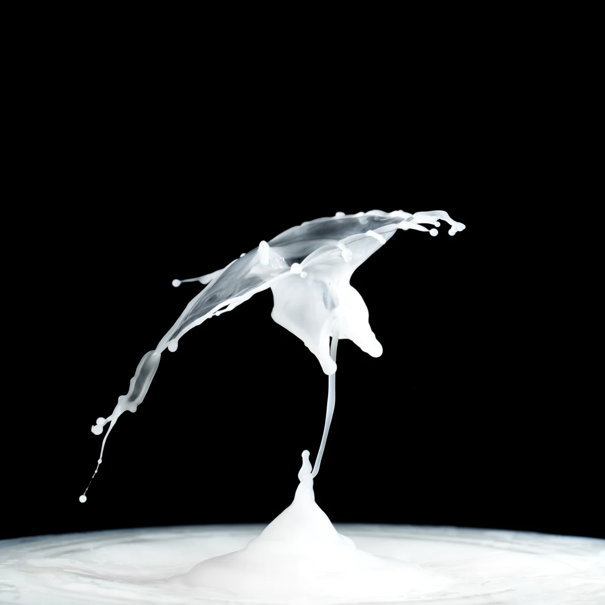 Splash of White