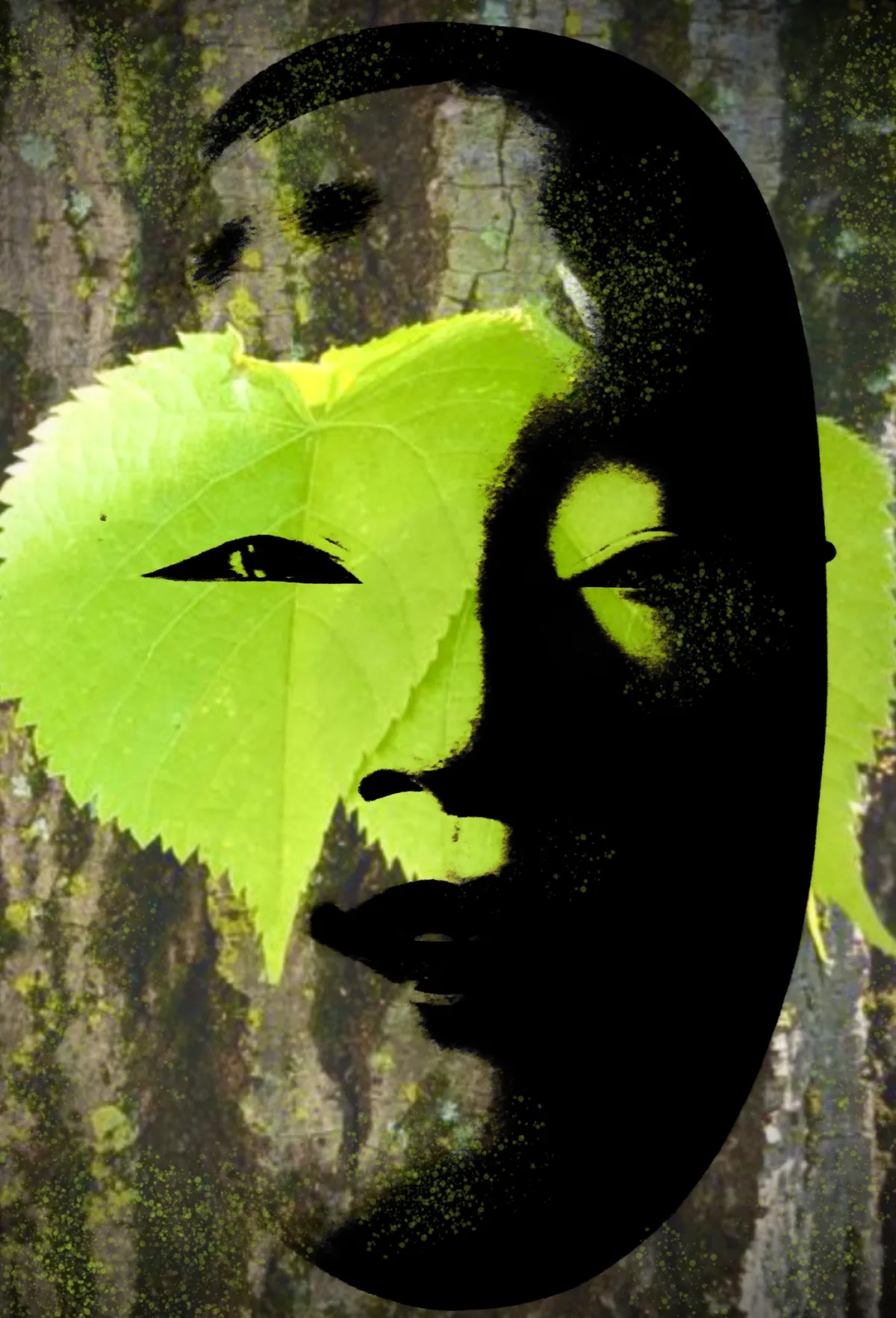 The Subtle Enchantment