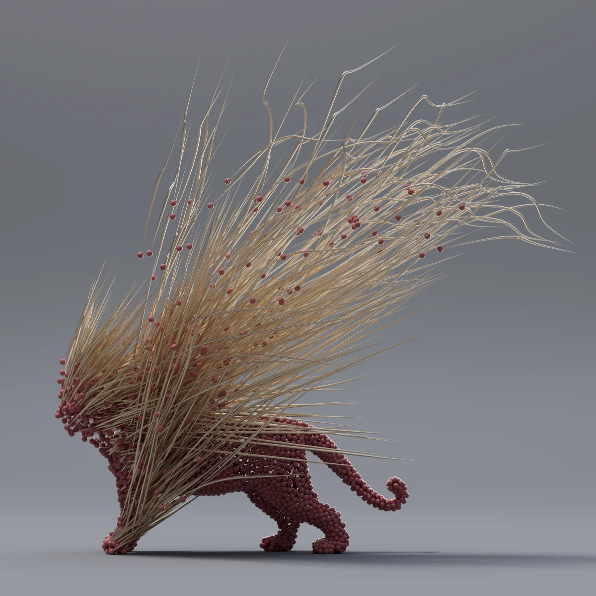 The Tiger