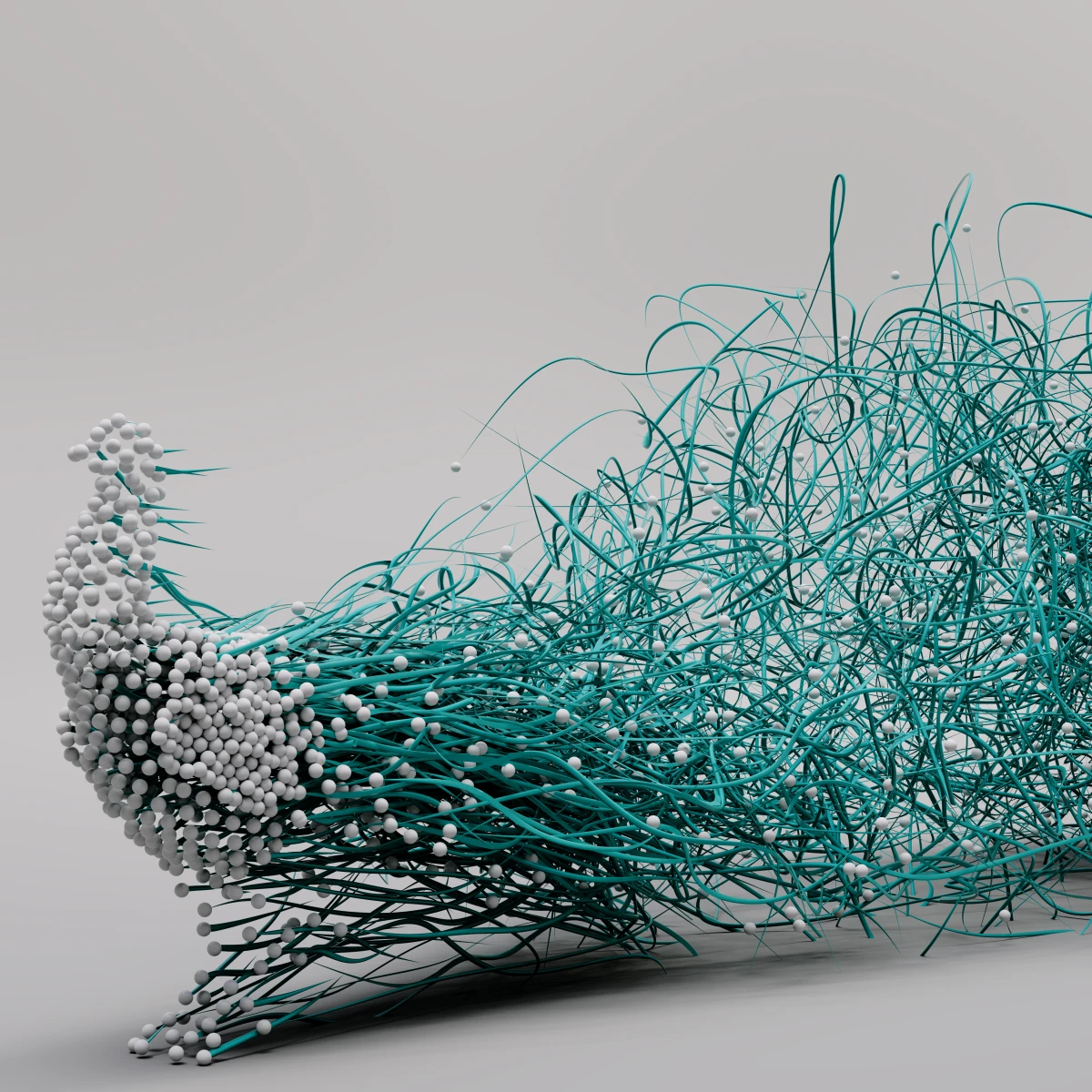 The Peacock