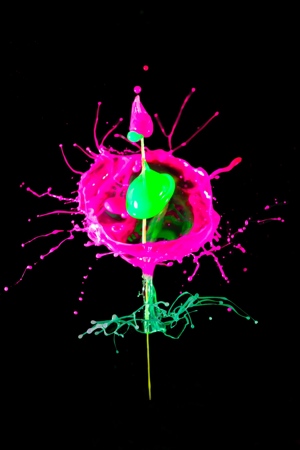 'NEON Botanical' by Little Art Photag