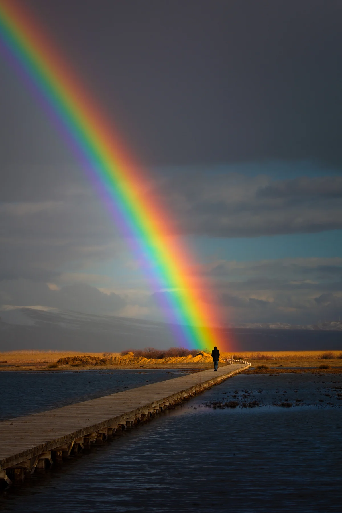 Rainbow