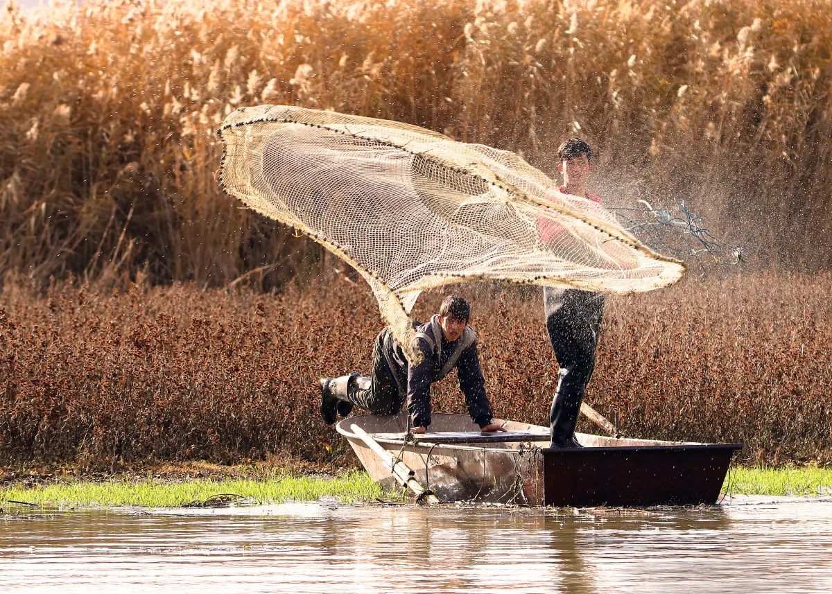 Catch The Moment