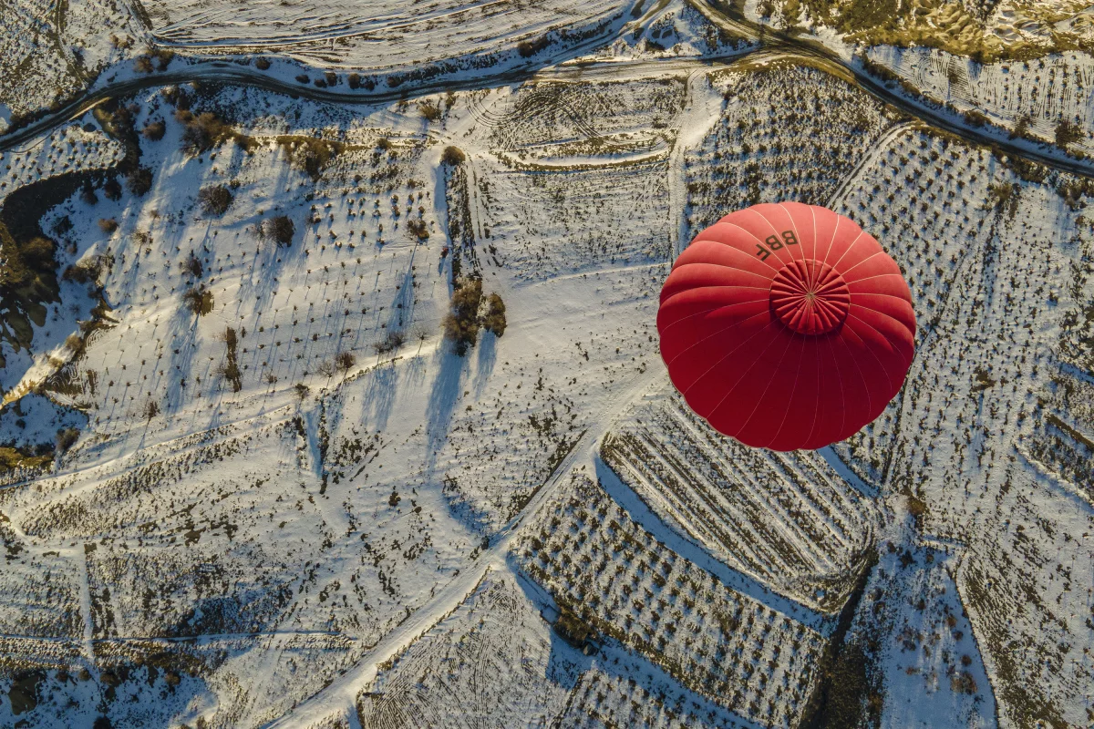 Red Spotted Dream
