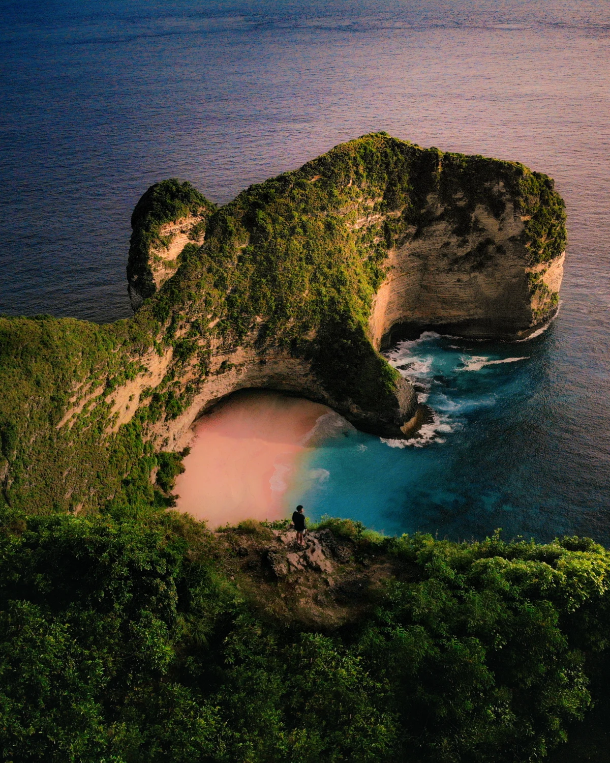 The Dinosaur Island