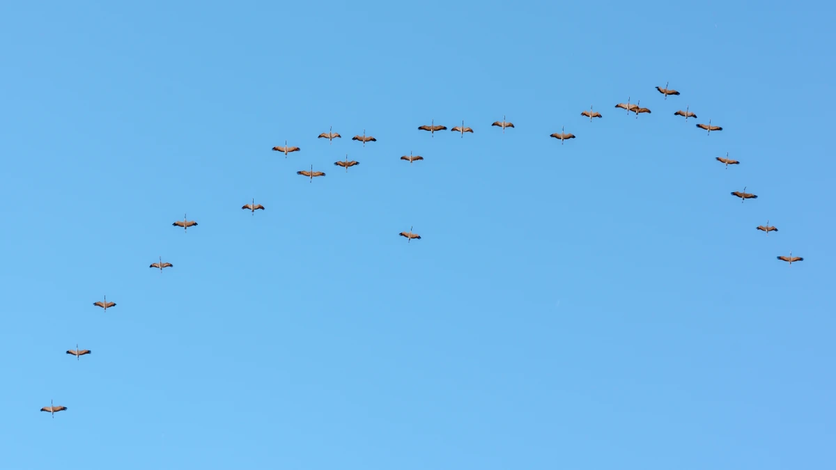 Air