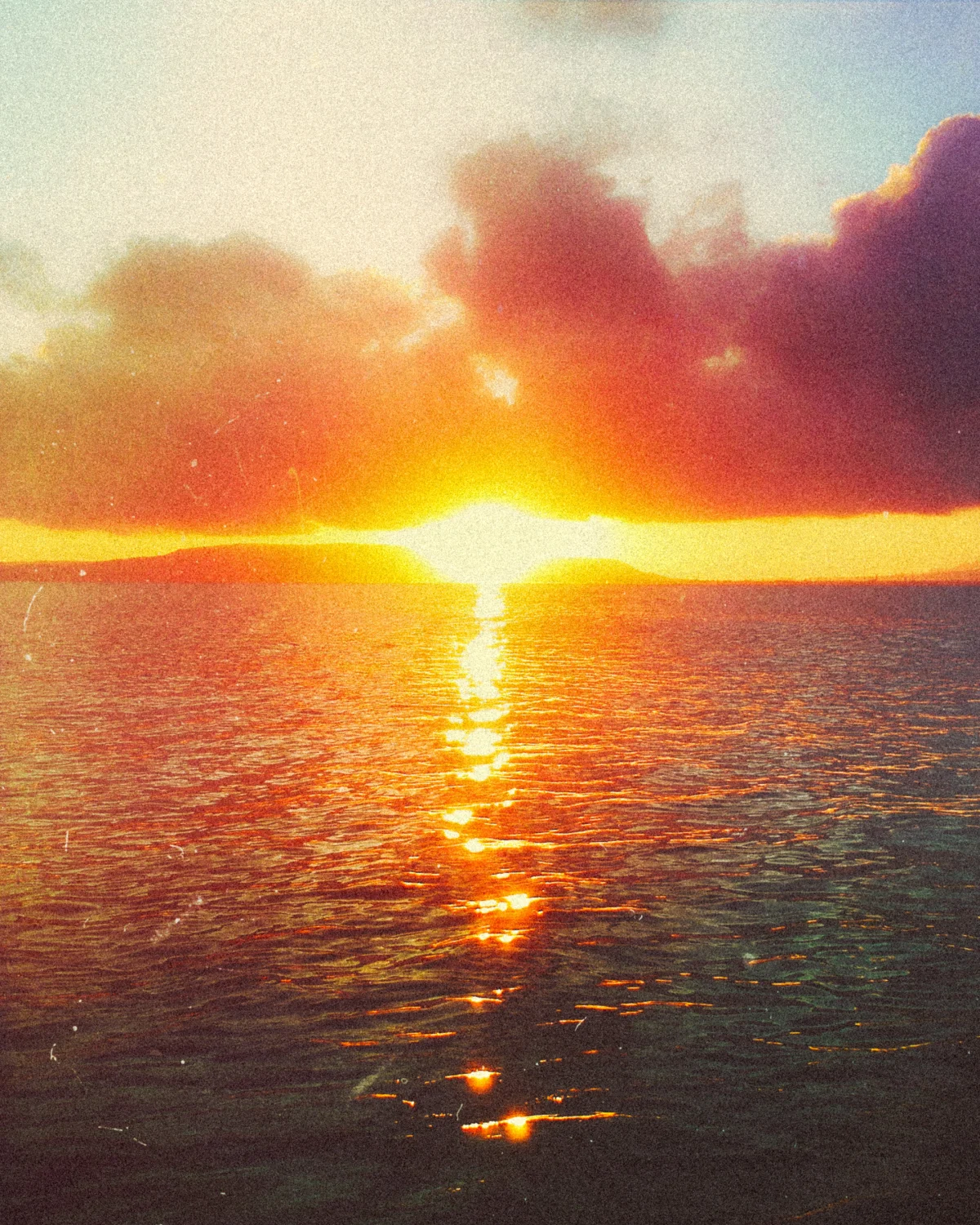 Morning Glory
