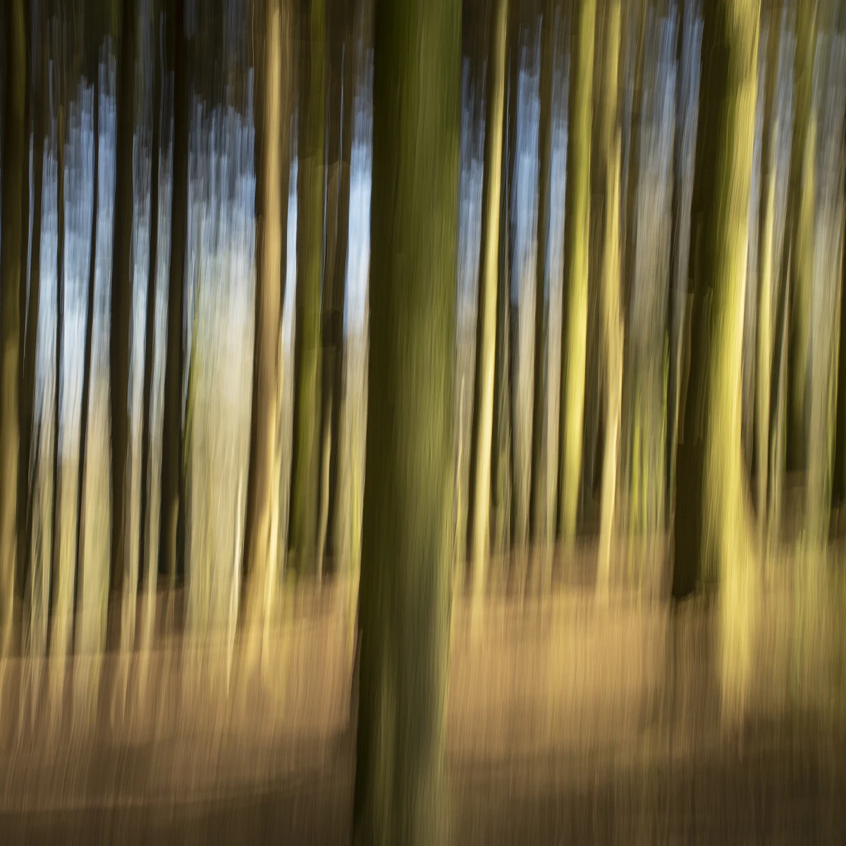 Lost