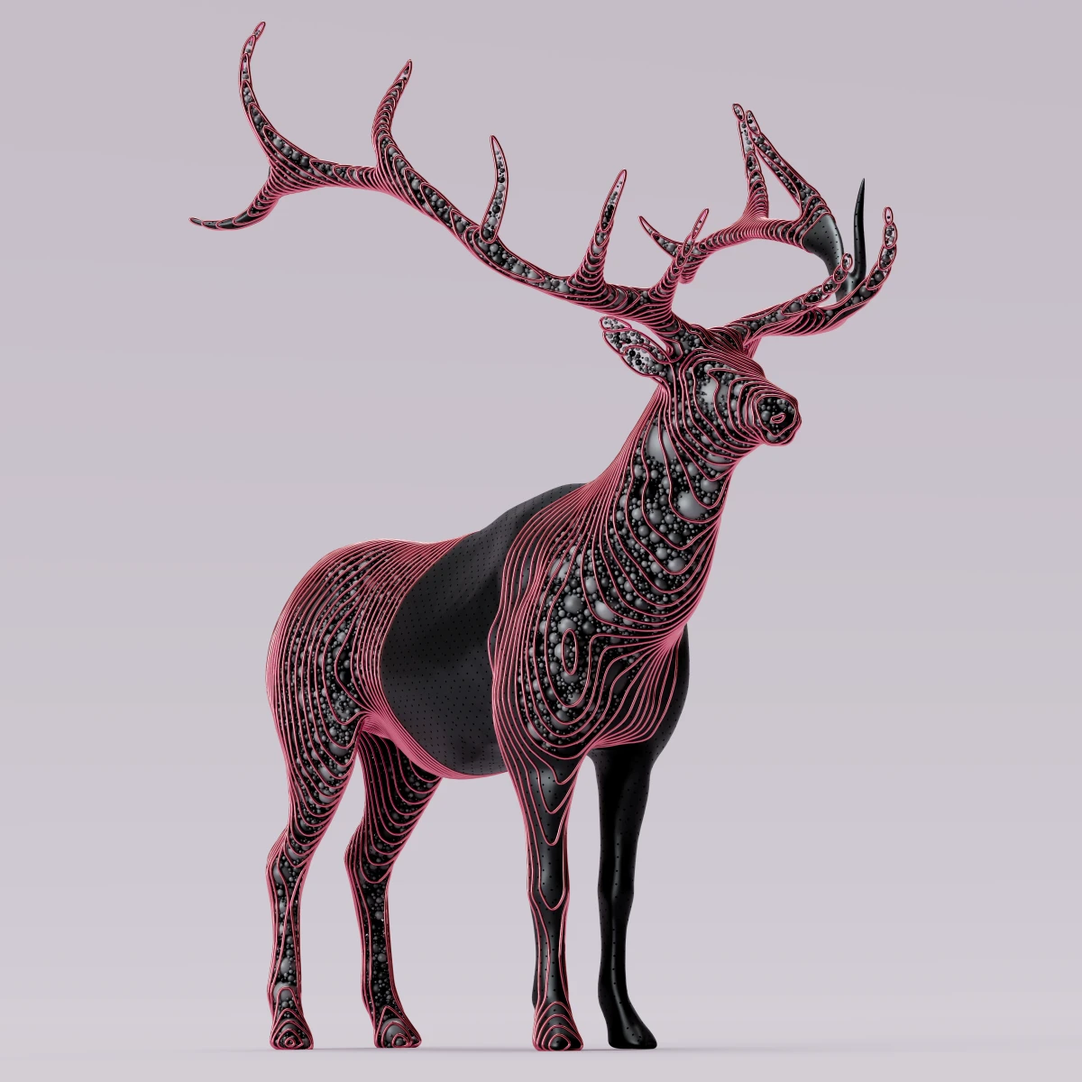 Deer