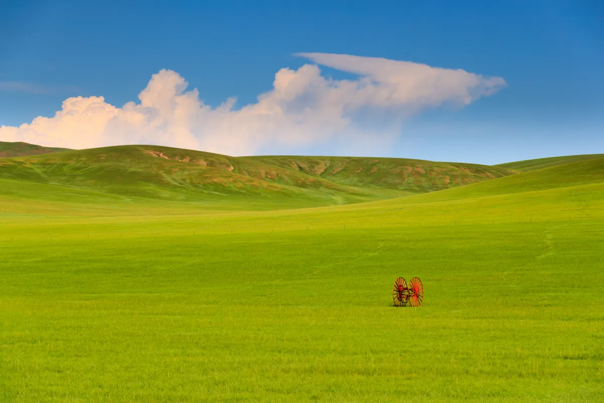 Mongolian Steppe