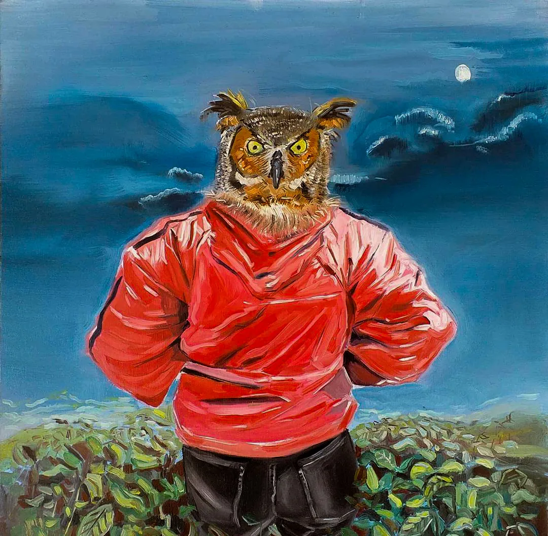 Nature and Owl