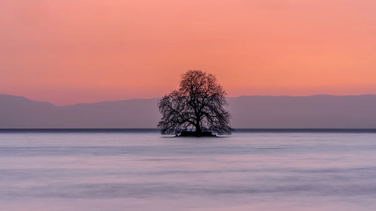 Standing Alone