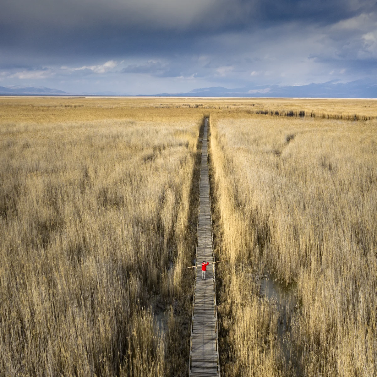 Endless Way