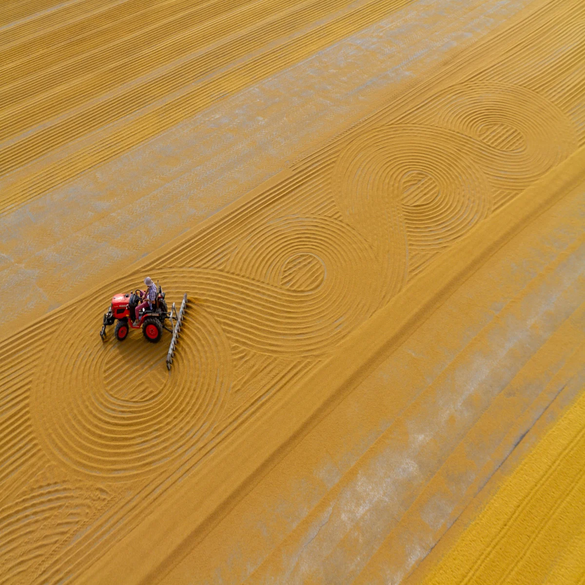Yellow Horizontal