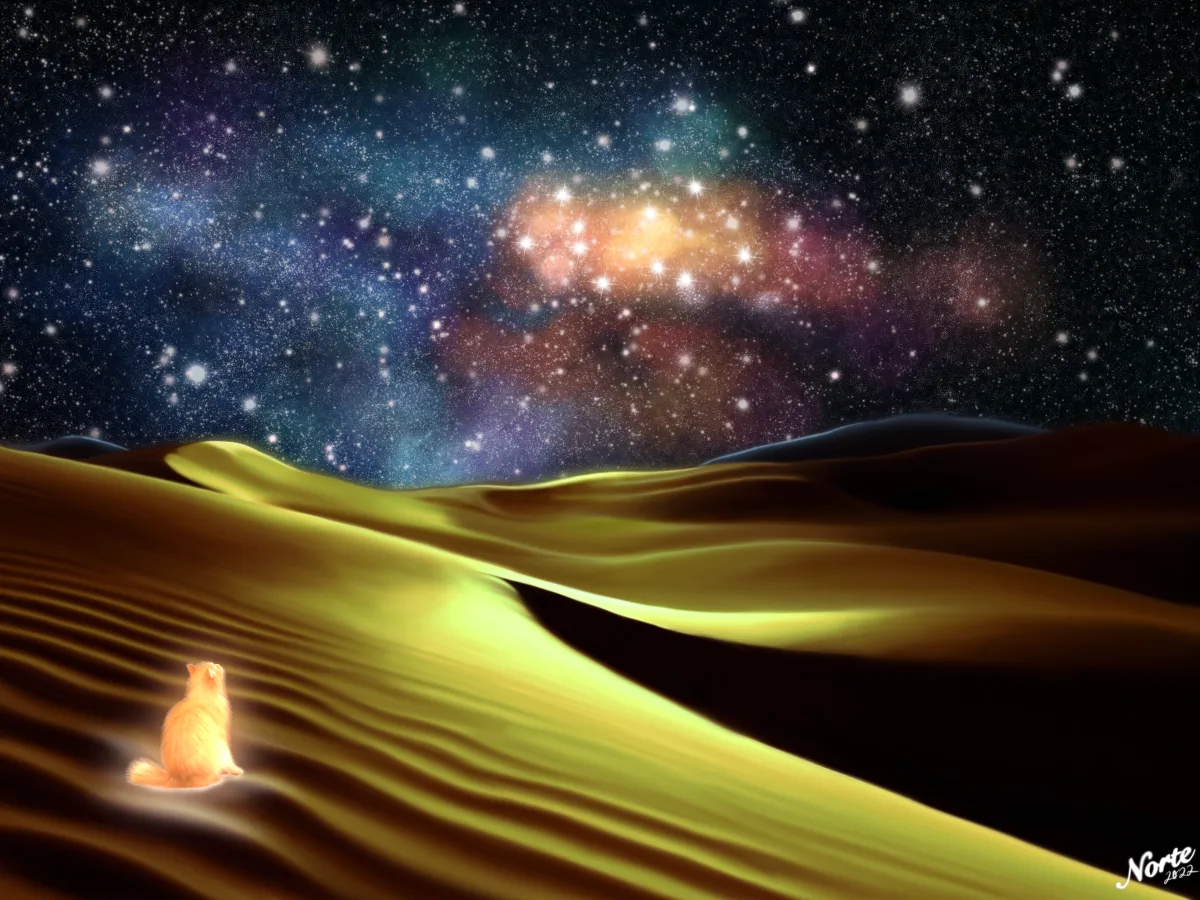Dreamland