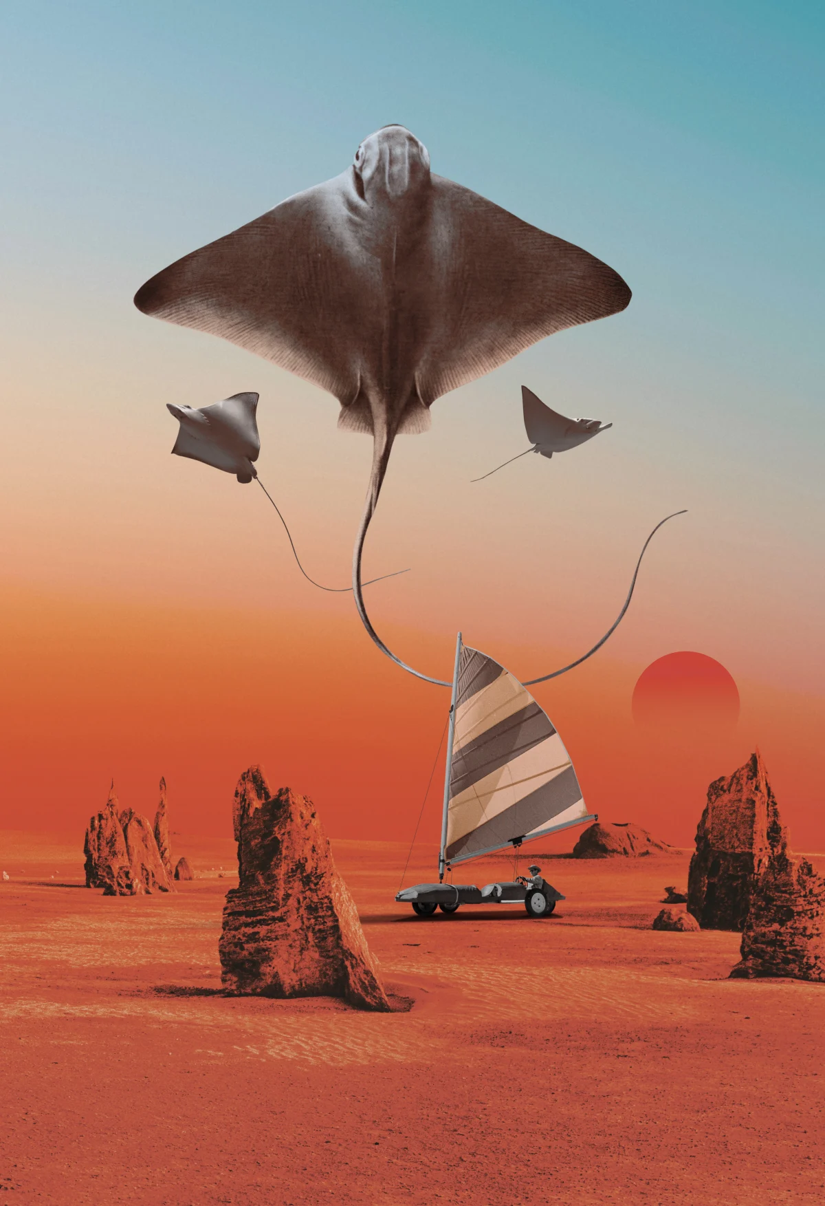 Stingray Hunter