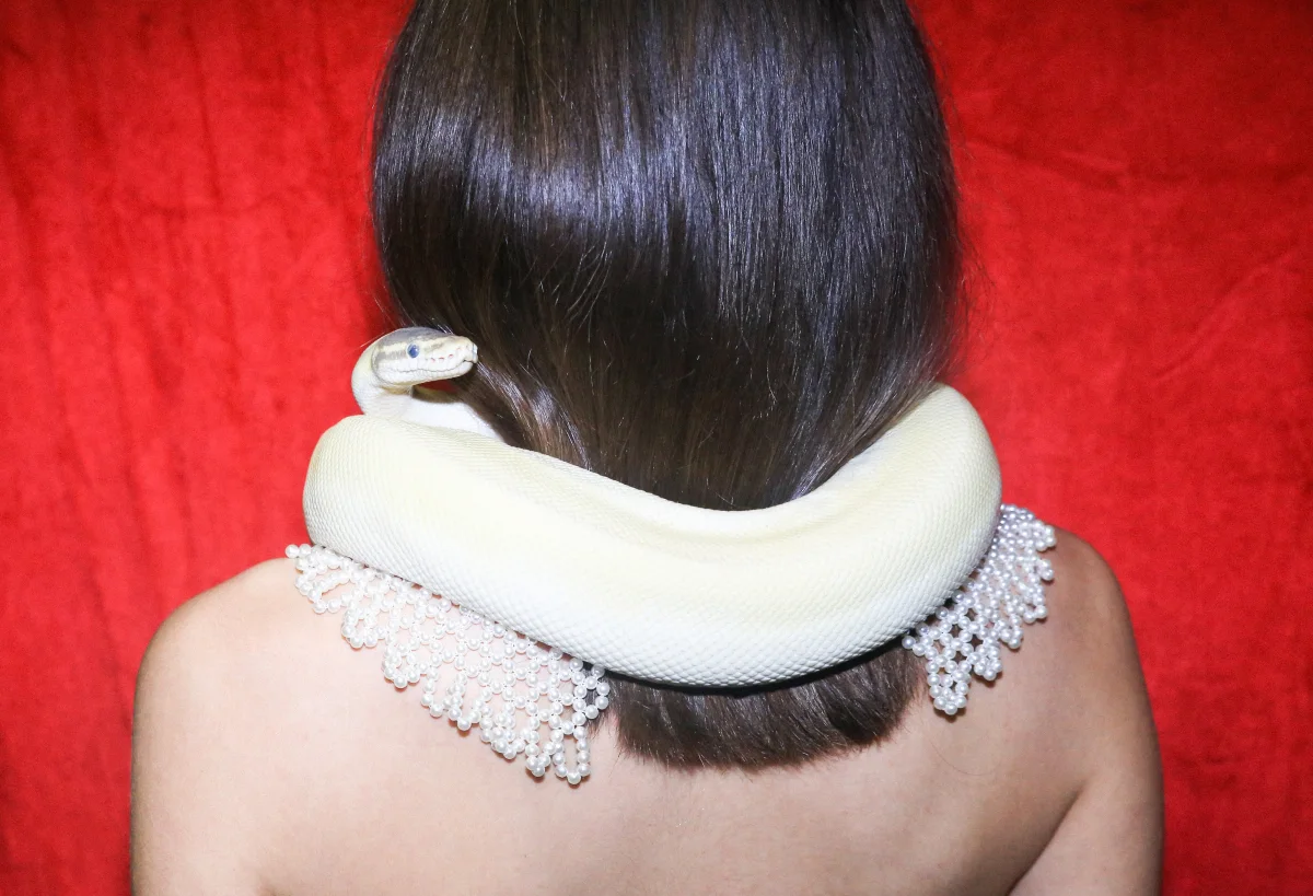 Leonardo Glauso. Photography II