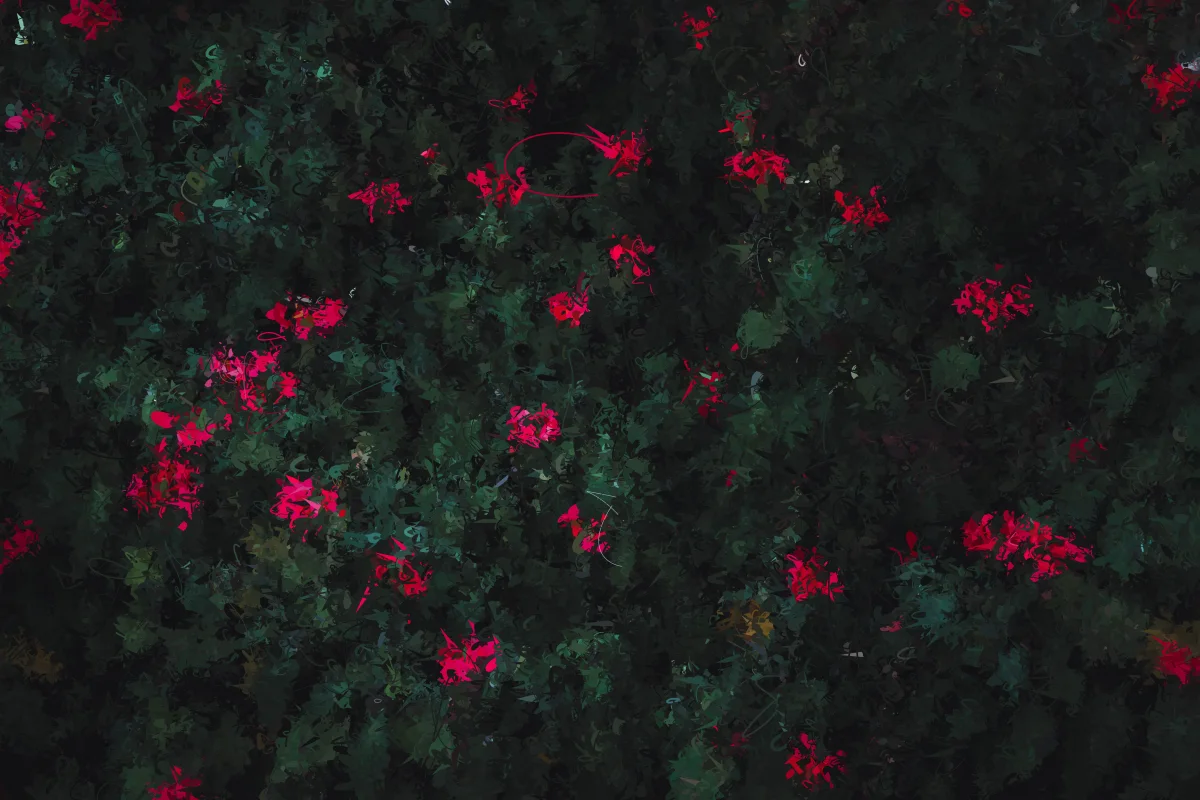 RANDOM(FLOWERS, RED, NIGHT)