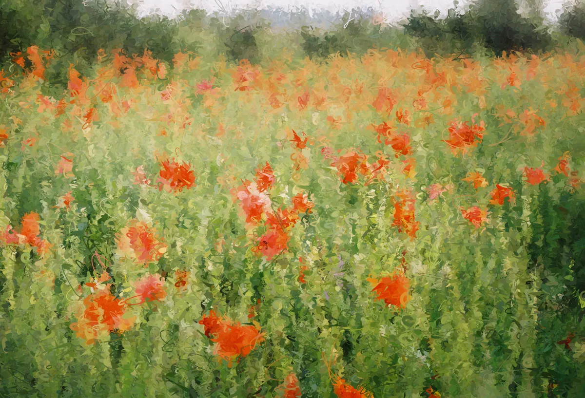 RANDOM(FLOWERS, RED, DAY)