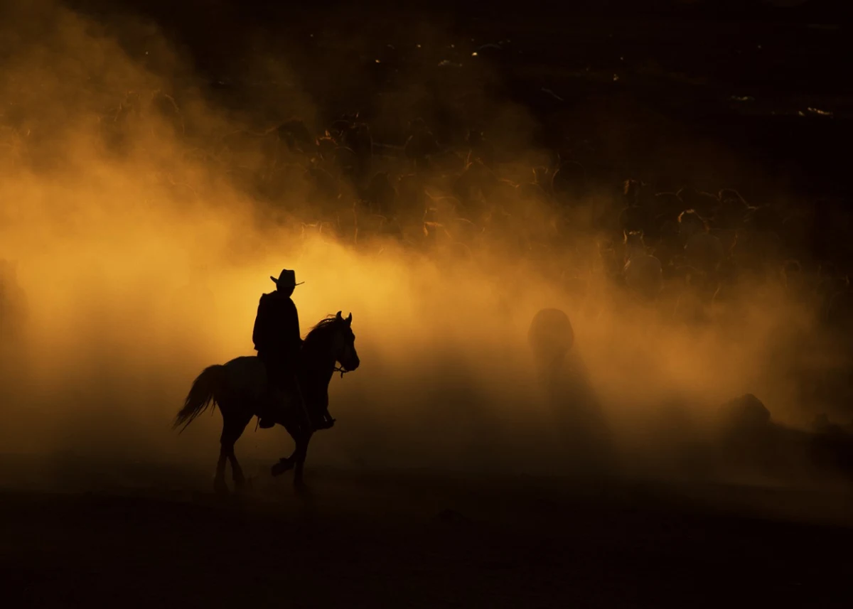 COWBOY