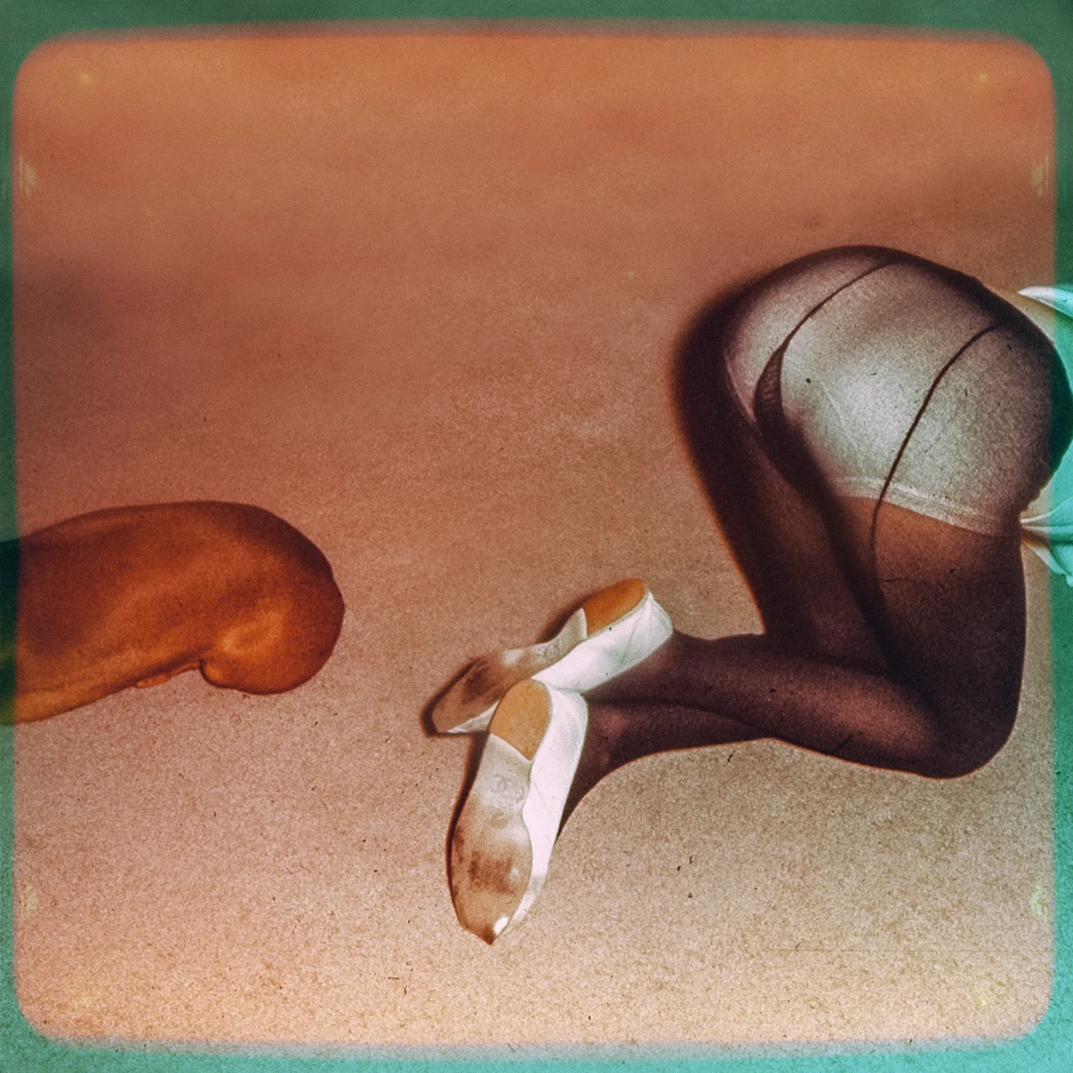 Dog World