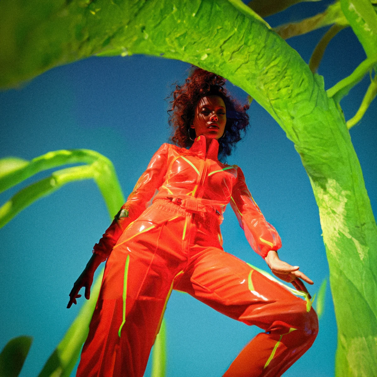 The Aesthetic Expression of Dreams