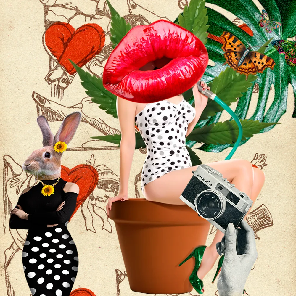 #0005 fashion animal catwalk