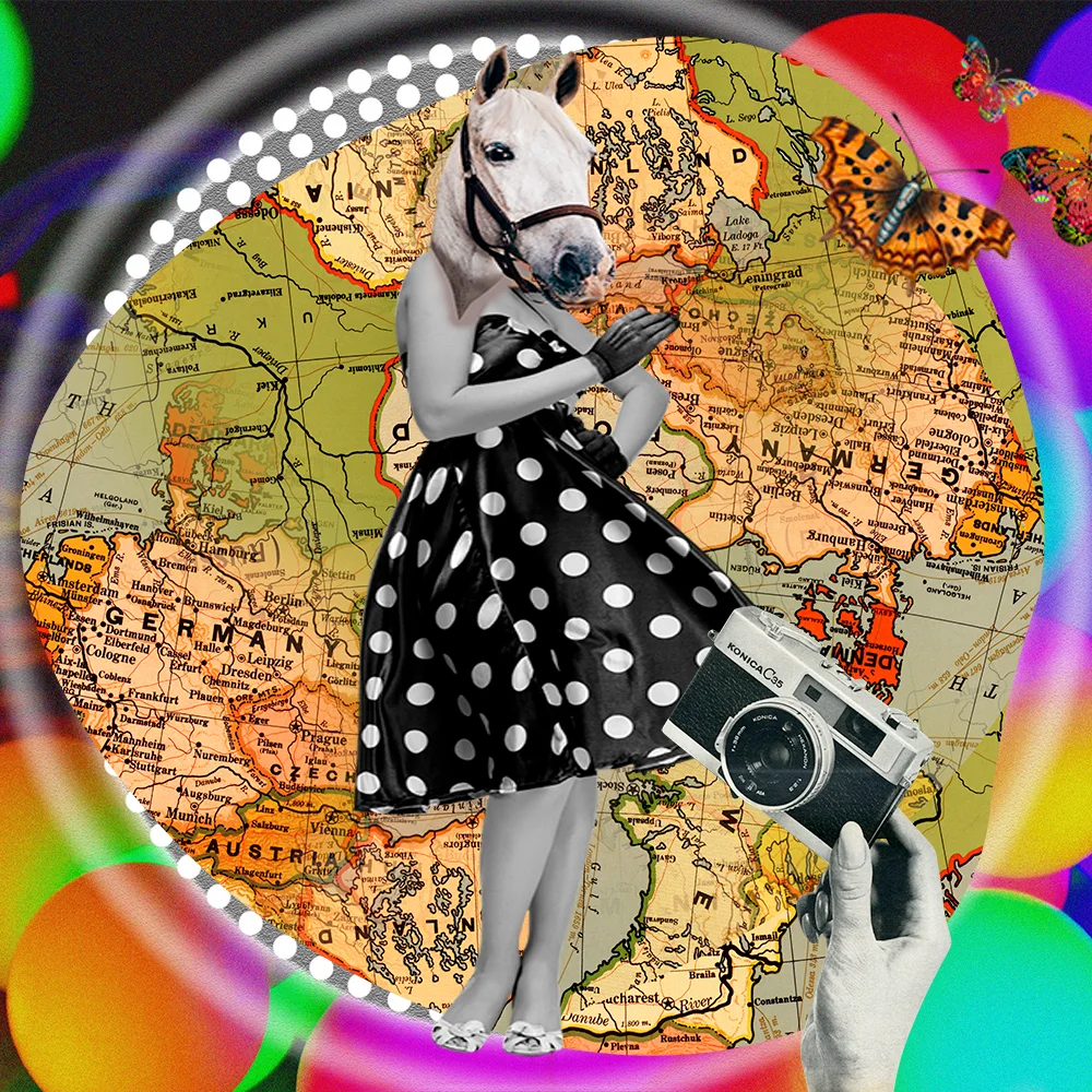 #0016 fashion animal catwalk