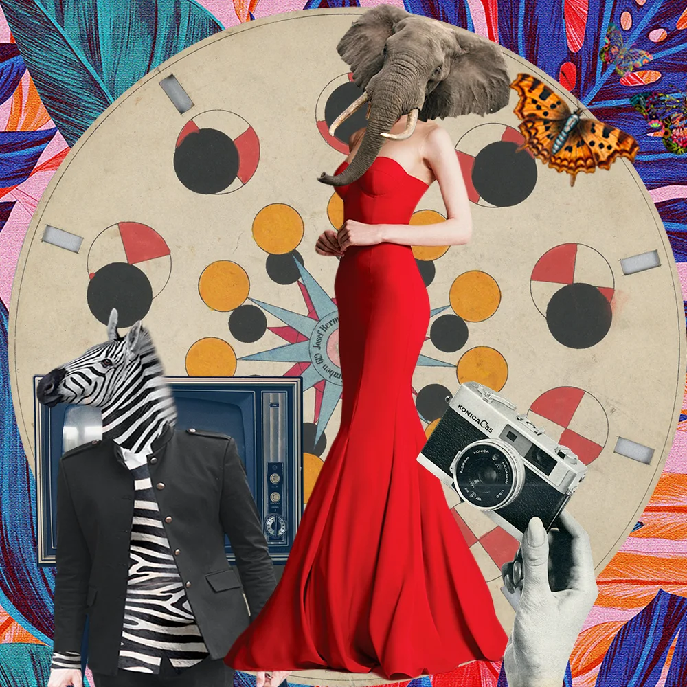 #0019 fashion animal catwalk